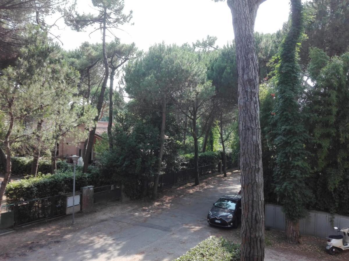 Apartment Mima Pineta